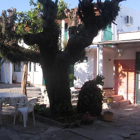 Hostel El Espanol Колонія-дель-Сакраменто Екстер'єр фото